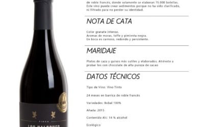 LA MEJOR FUSIÓN DE MANCHUELA: CALIDAD DE LOS VINOS, ENOTURISMO, GASTRONOMIA: VEGA TOLOSA