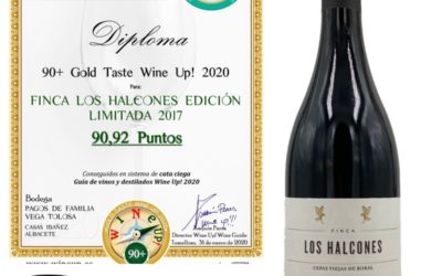 GUÍA DE VINOS WINE UP 2020