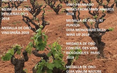 PRESENTACIÓN DE NUESTROS VINOS EN MADRID