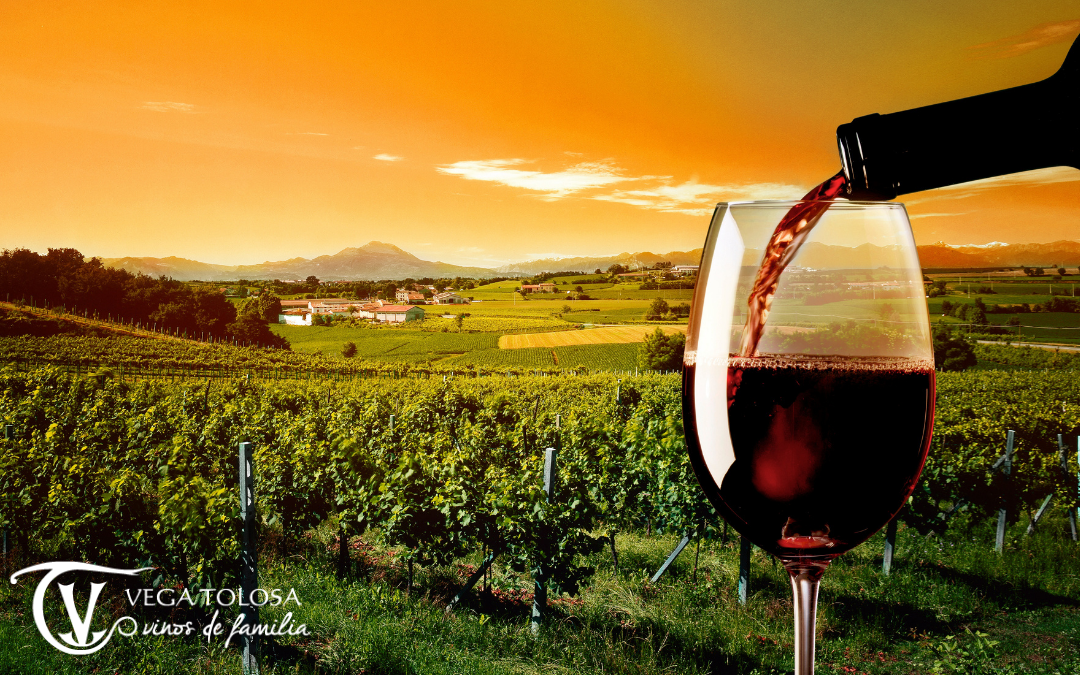 tipos de vino en La Manchuela