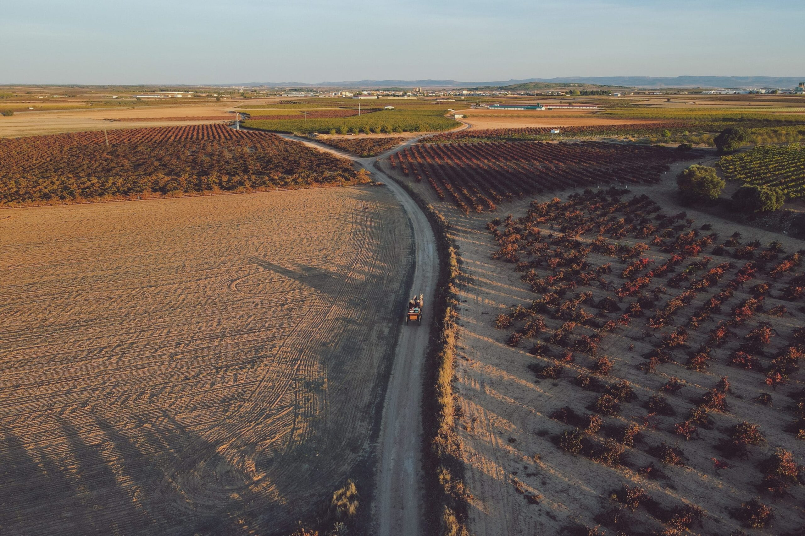 Vista aérea de un extenso viñedo en un paisaje rural al atardecer, con un tractor recorriendo un camino de tierra, destacando la belleza natural de esta edición limitada.