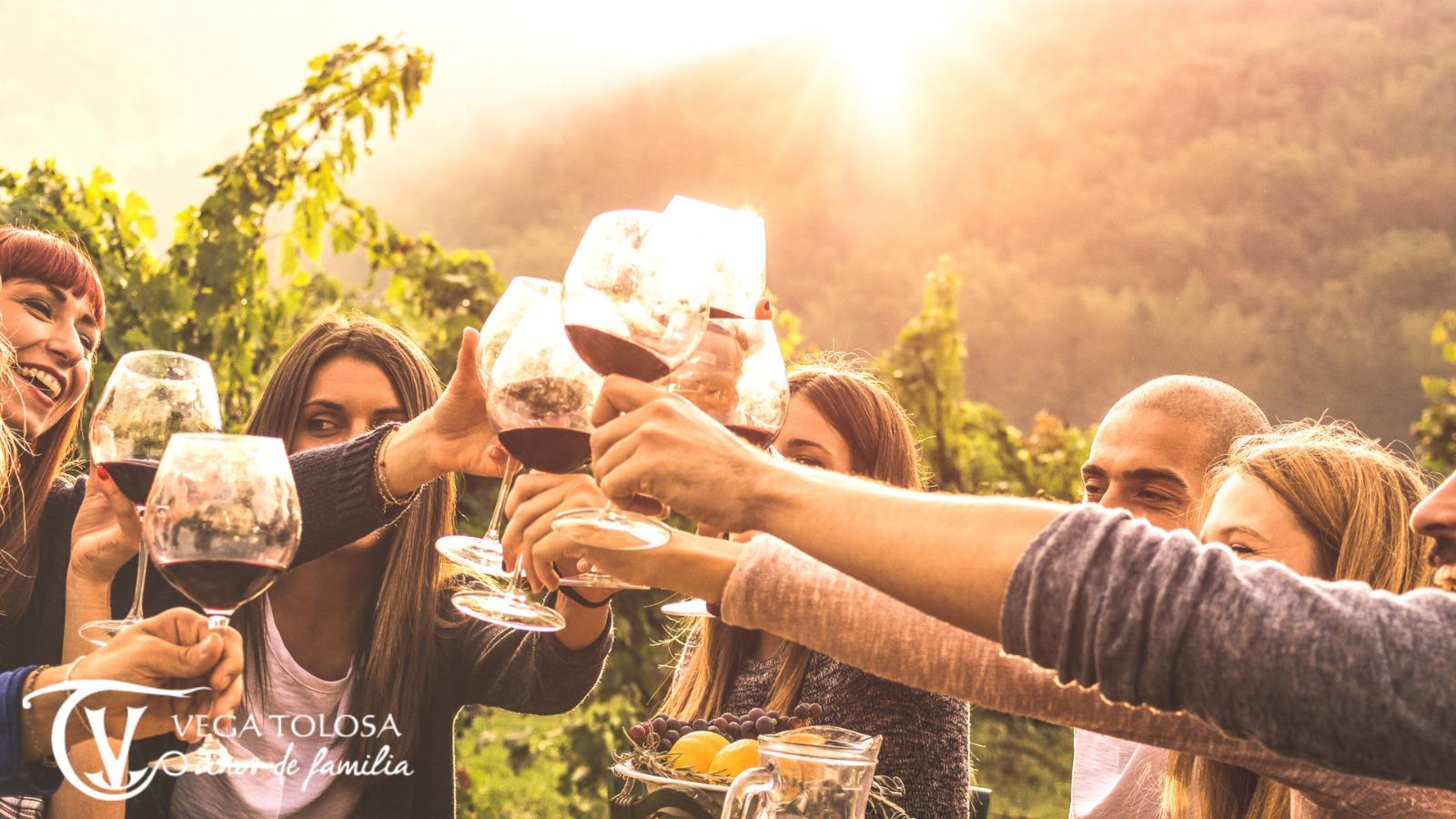 Un grupo de personas brinda al aire libre con copas de vino tinto, disfrutando de un entorno natural y soleado, con la opción de comprar online.