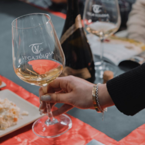 Cata de vino - Experiencia Vega Tolosa
