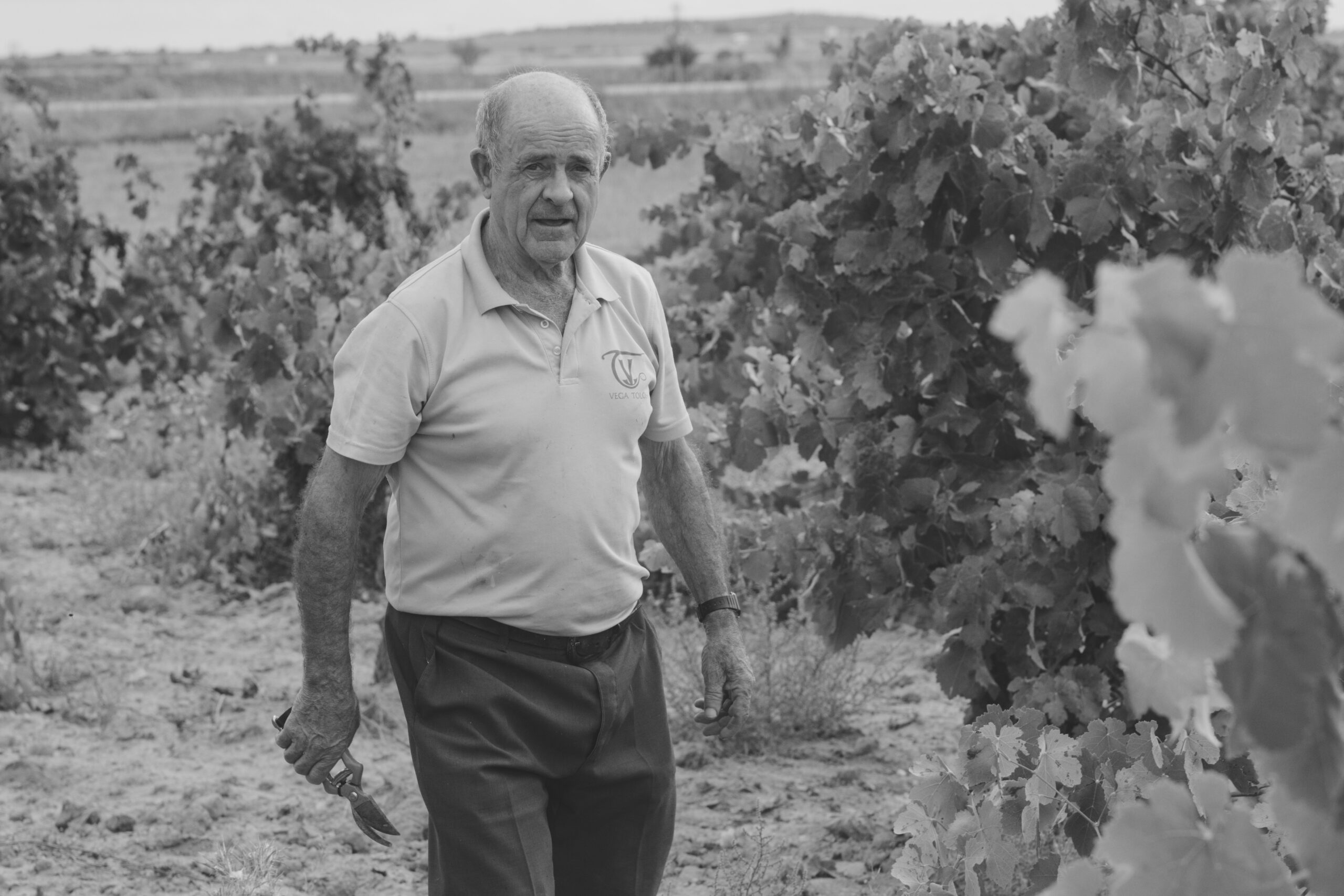A man walks through a vineyard with thriving vines, representing the dedication behind the cultivation of organic wine.