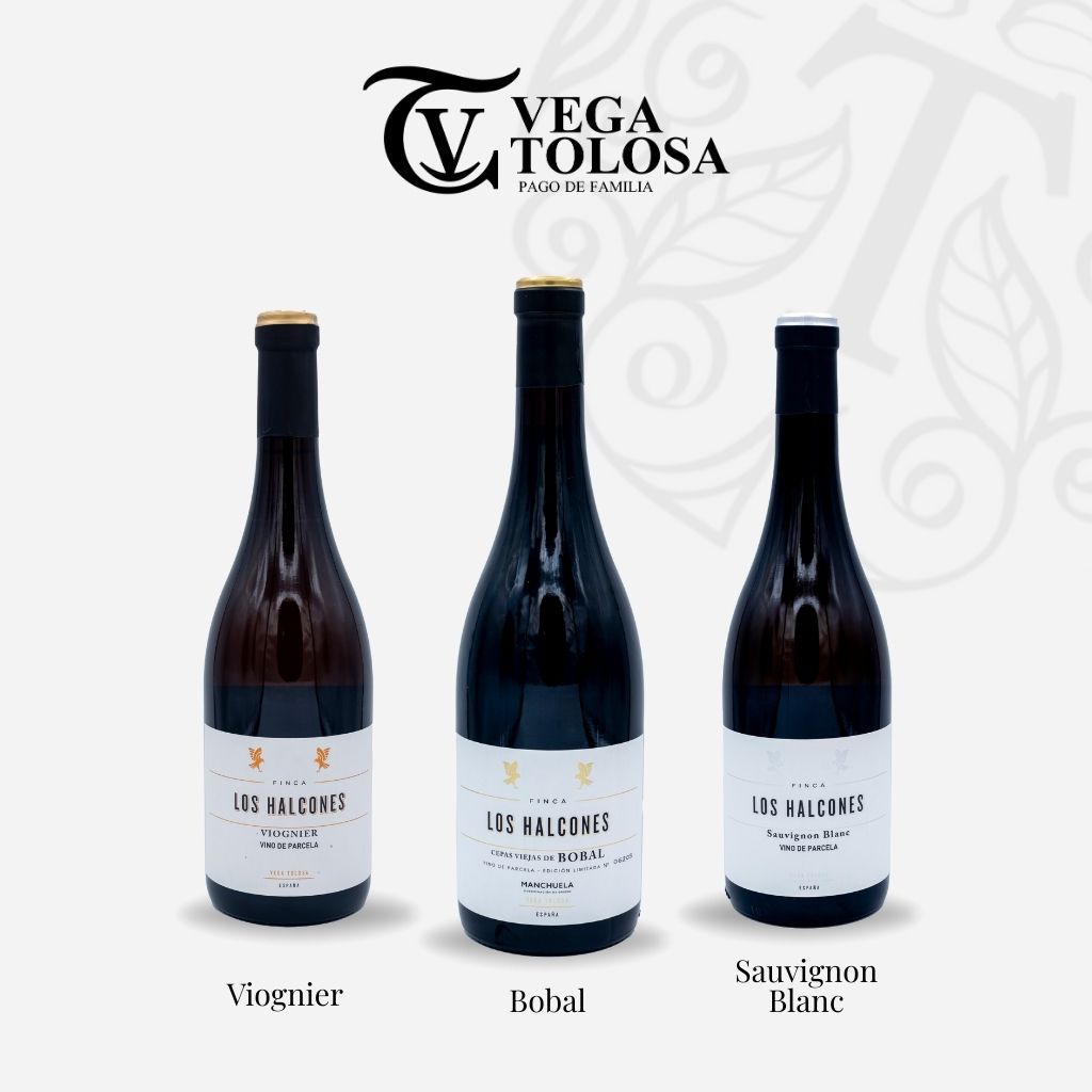 Tres botellas de vino de la marca Vega Tolosa, etiquetadas como Viognier, Bobal y Sauvignon Blanc, destacan sobre un fondo claro con el texto DEO manchuela.