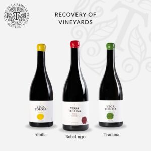 Tres botellas de vino Vega Tolosa, denominadas Albilla, Bobal 1930 y Tradana, se exhiben bajo el lema "Recovery of Vineyards", reflejando un enfoque en la recuperación vinícola con un diseño que evoca un certificado de autenticidad.