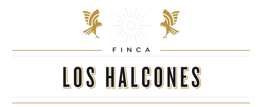 Logotipo elegante de la Finca Los Halcones con dos ilustraciones de halcones y un diseño sofisticado, ideal para quienes buscan comprar online productos exclusivos de esta marca.