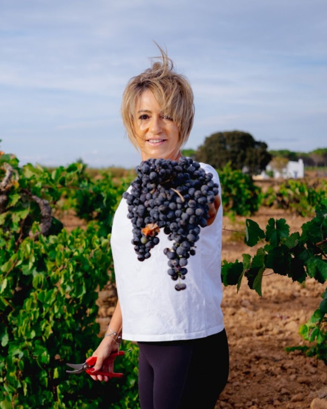 Bobal, el alma valiente de La Manchuela