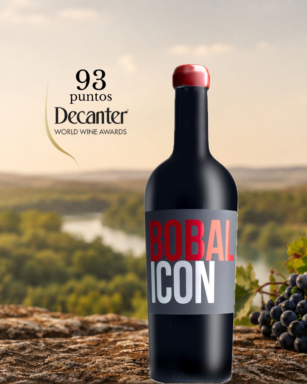Bobal Icon tinto logra la máxima puntuación para un vino Bobal en los Premios Decanter 2026