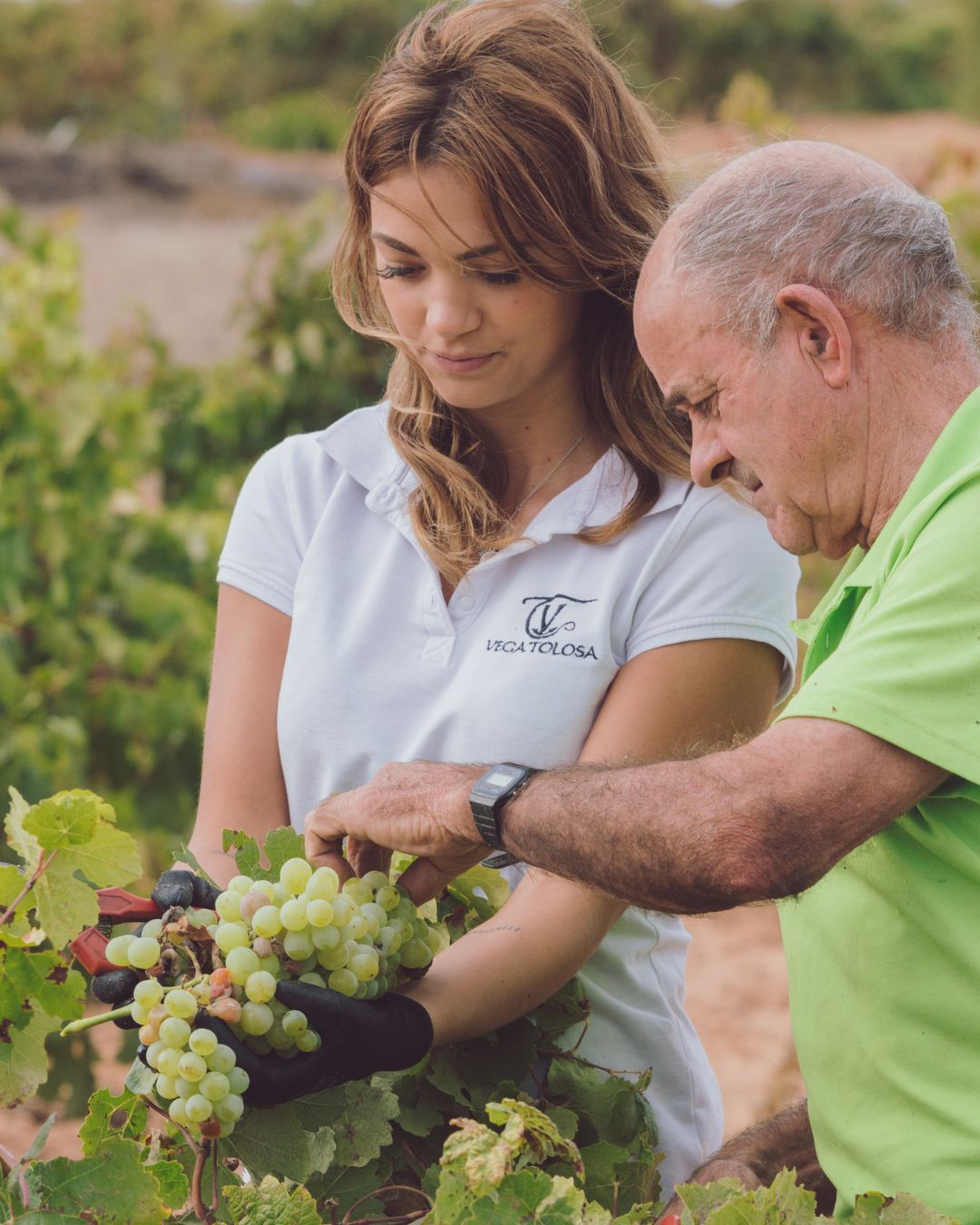 El vino blanco que sorprende a quienes creen haberlo probado todo: Tardana