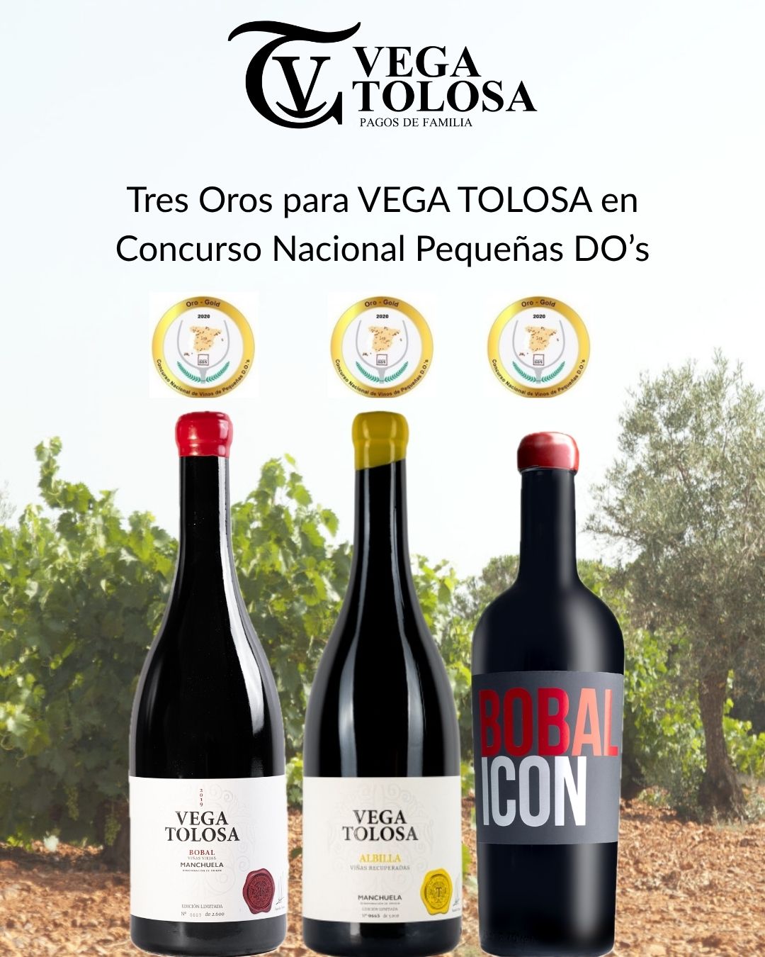 Tres Oros para VEGA TOLOSA