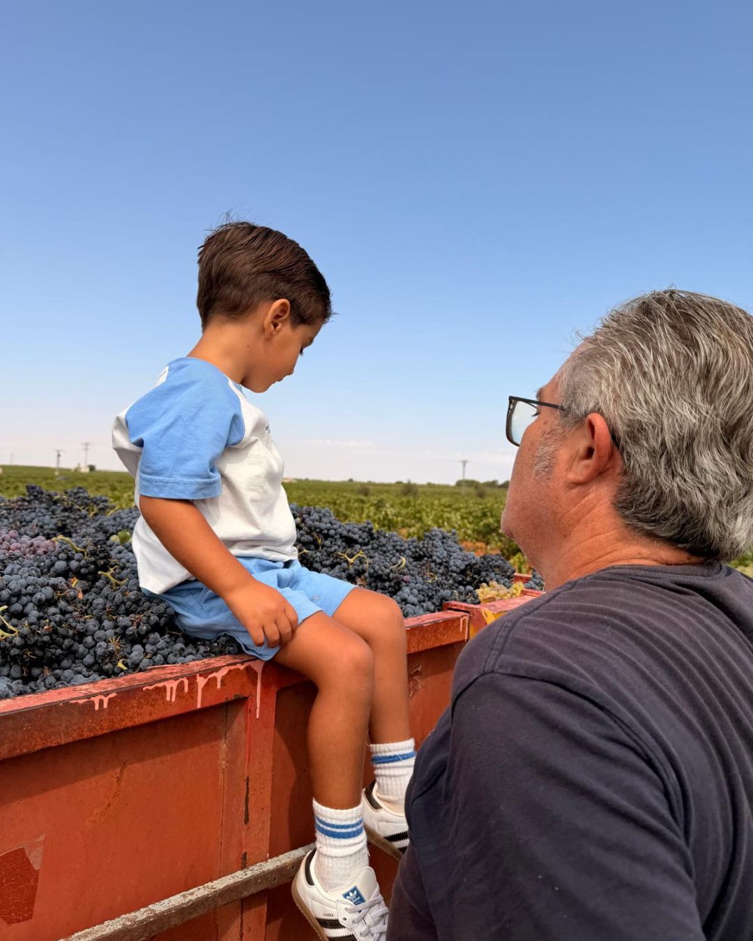 Cuando una viña pasa de generación en generación: el legado que cuidamos en Vega Tolosa