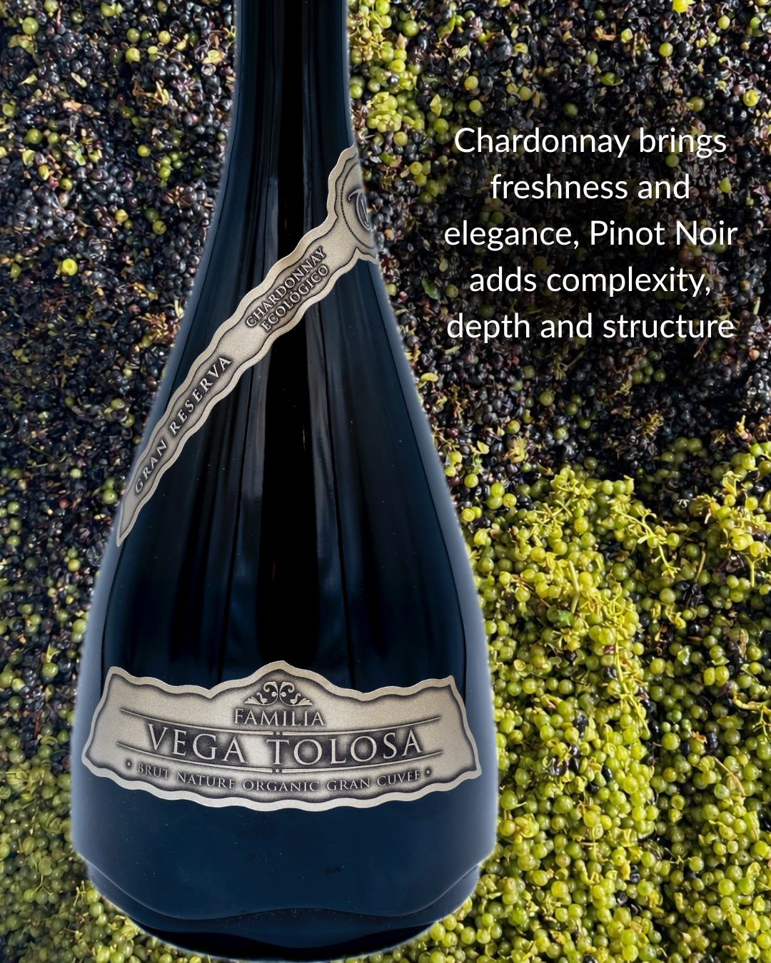 La inspiración de Champagne, el alma del Valle del Cabriel: VEGA TOLOSA Brut Nature Organic Gran Reserva
